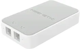 Адаптер KEENETIC Keenetic Linear (KN-3110) USB-адаптер для двух аналоговых телефонов (921417)